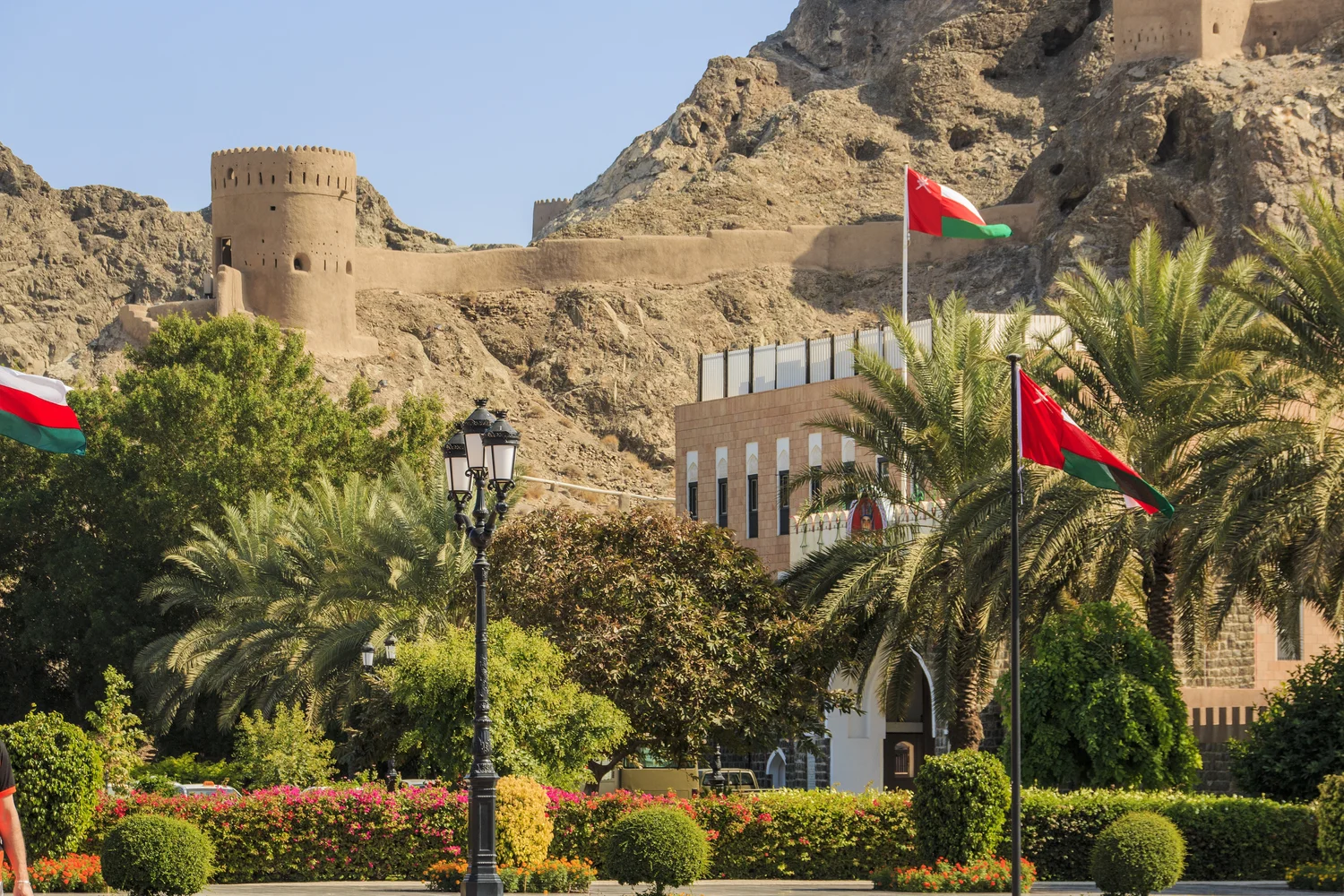 Traditional fort and Omani flags with palm trees in Muscat, Oman.