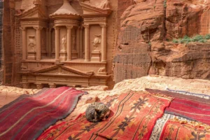 Cat resting on colorful carpets in front of Petra's Treasury in Jordan.