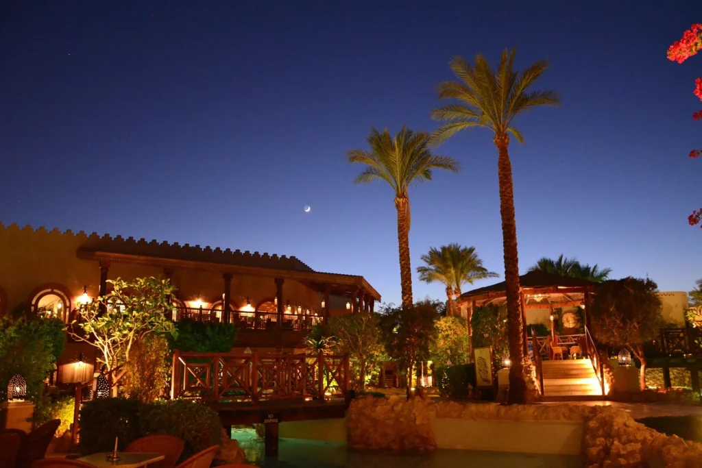 Night view of a resort oasis in UAE with palm trees and moonlight.
