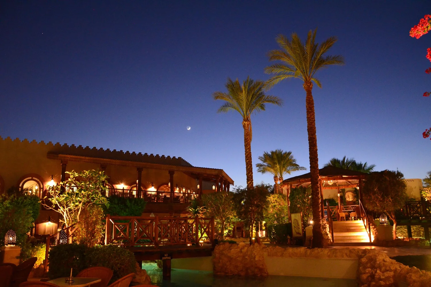 Night view of a resort oasis in UAE with palm trees and moonlight.
