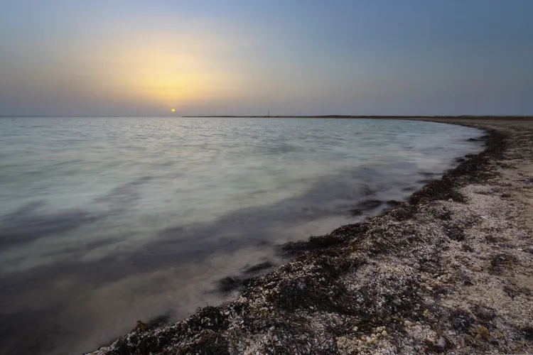 Sunset view at Sealine Beach in Qatar with calm sea and sandy shore.