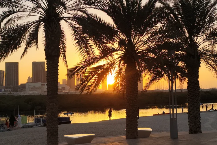 Sunset view through palm trees with Abu Dhabi skyline in the background.