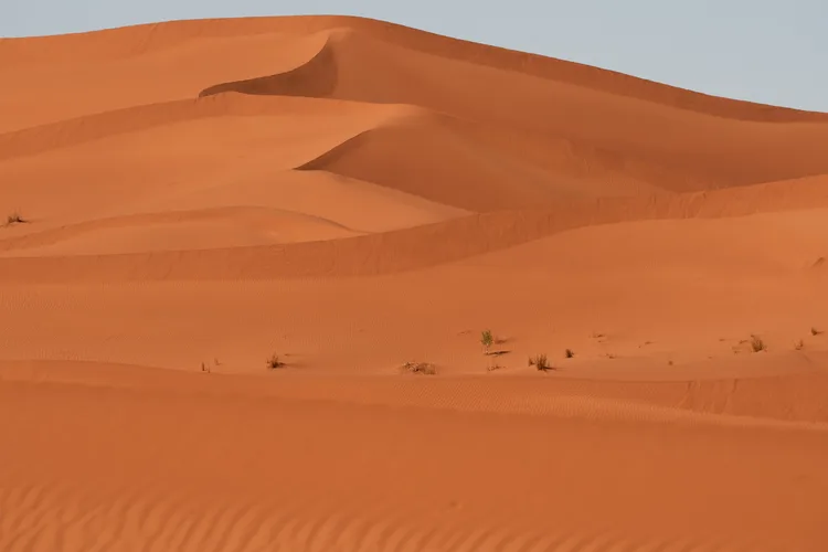 Vast sand dunes of the Sahara desert under a clear sky.
