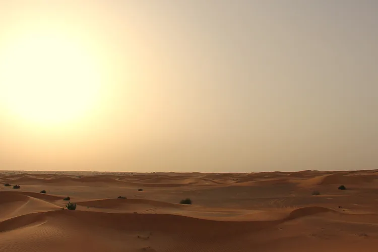 Golden sunset over the dunes of Wahiba Sands in Oman.